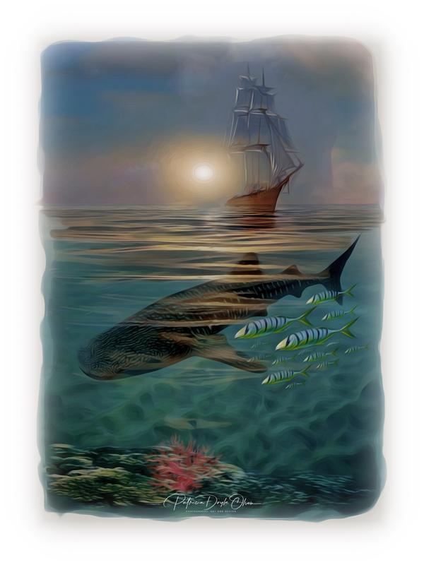 Smooth Sailing