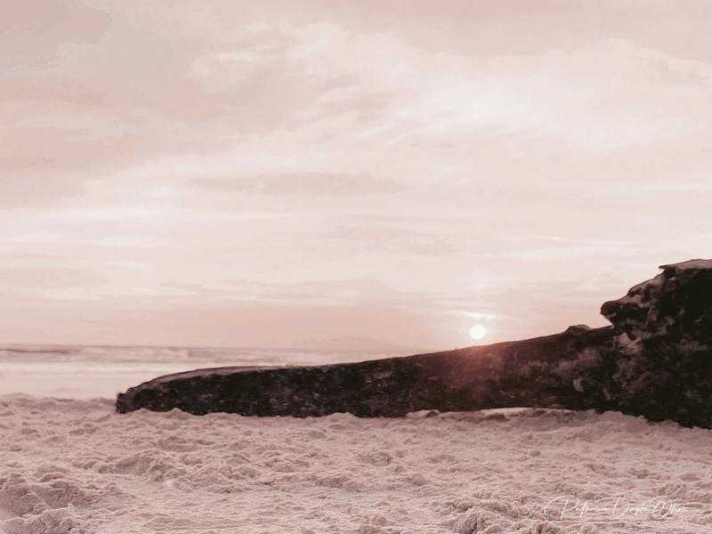 Sunrise over the driftwood