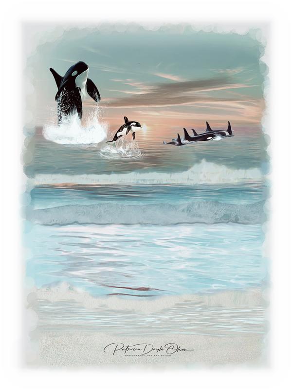 FIRST MIGRATION