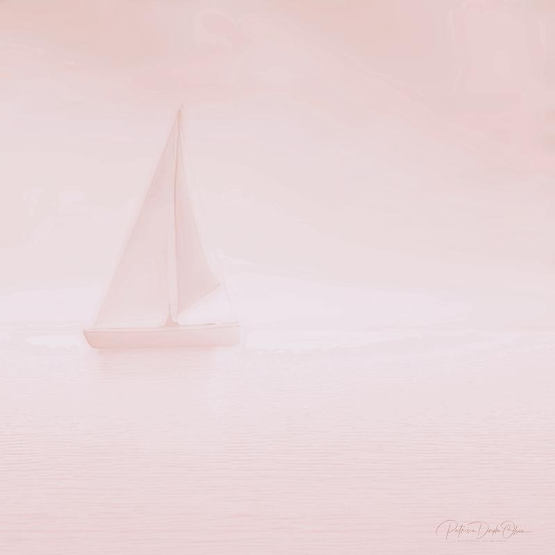 Early morning Sail