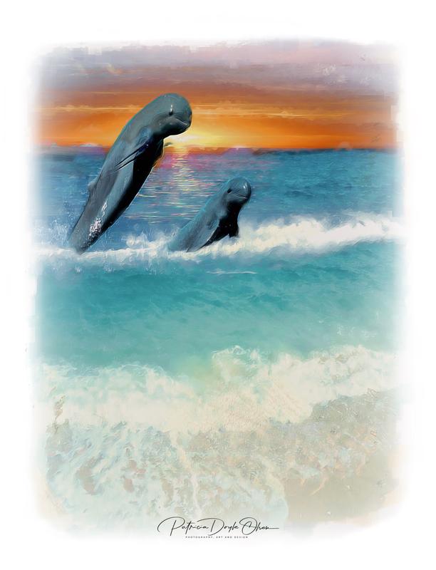 IRRAWADDY DOLPHIN
